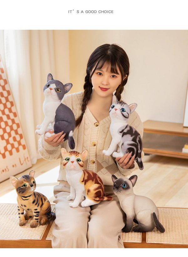 かわいい本物のような猫のぬいぐるみ - 画像 (4)