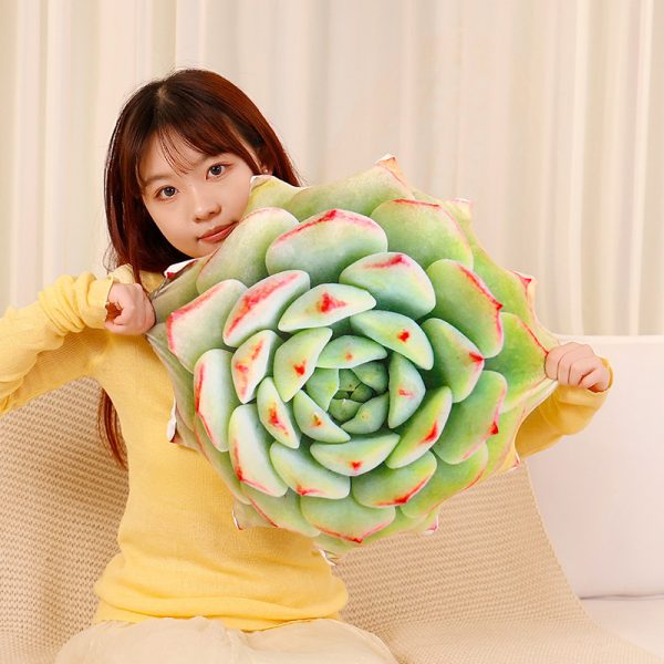 クリエイティブな多肉植物のぬいぐるみクッション - ホームデコレーションの植物の形の枕 - 画像 (13)